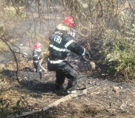 Incendiu la o baracă, pe Valea Portului